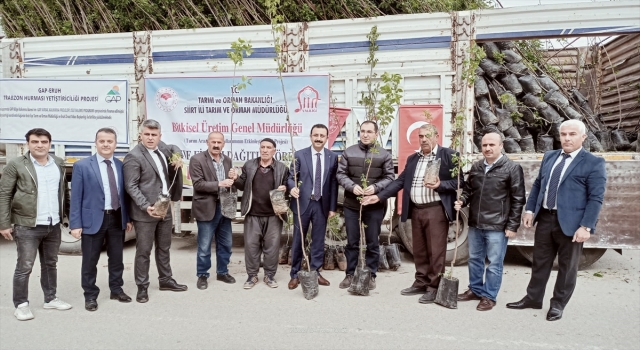 Siirt’te çiftçilere fıstık ve Trabzon hurması fidanı dağıtıldı