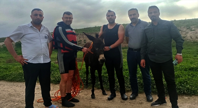 Dicle Nehri’nde mahsur kalan eşek kurtarıldı