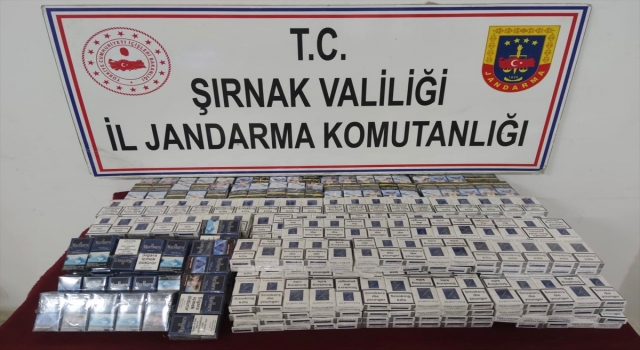 Şırnak’ta uyuşturucu ve kaçakçılık operasyonlarında 32 şüpheli yakalandı