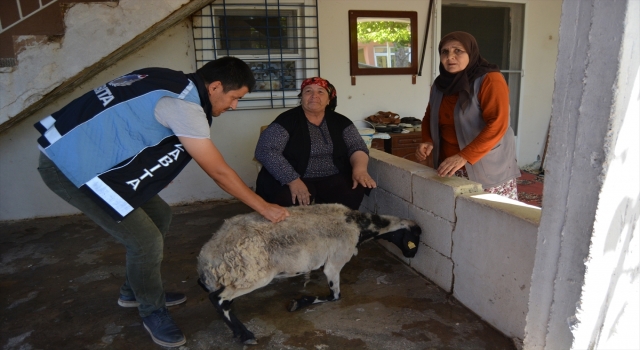 Gaziantep’te kurbanlığı kaçan yaşlı kadına küçükbaş hayvan alındı