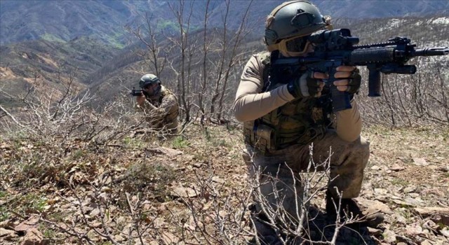 PKK'nın Üst Düzey Sorumlusu Urfa'da Öldürüldü