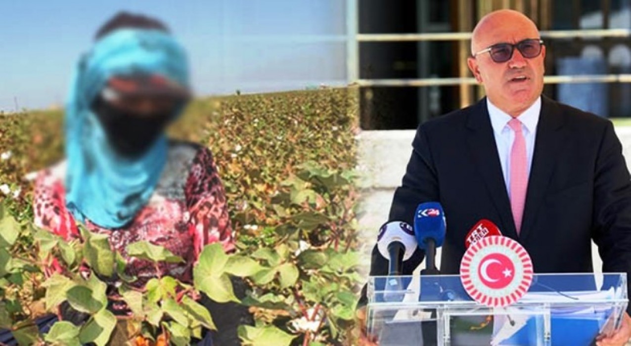 TBMM'de Tarım işçisi çocuklar için kanun teklifi