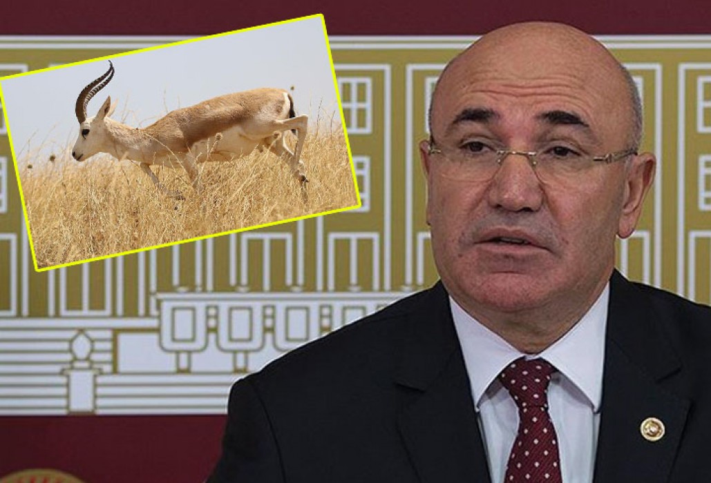 Tanal: Umarım emsal teşkil eder