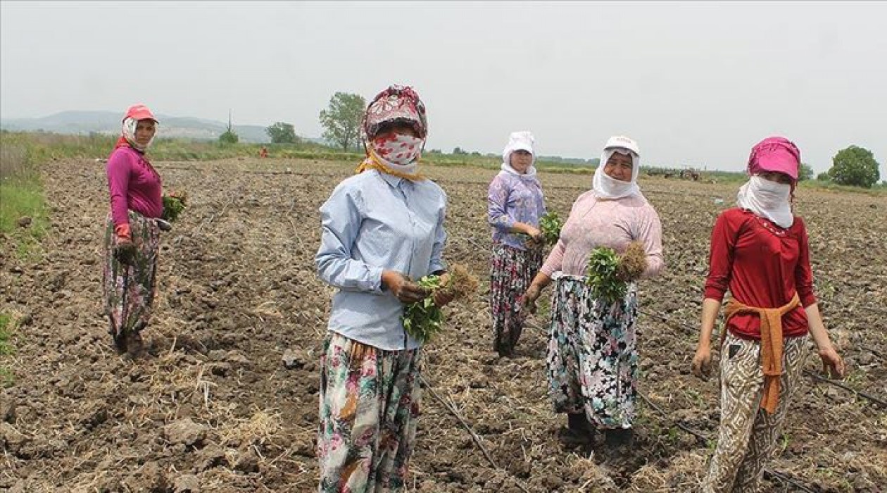 Tarım işçiler için alınması gereken önlemler