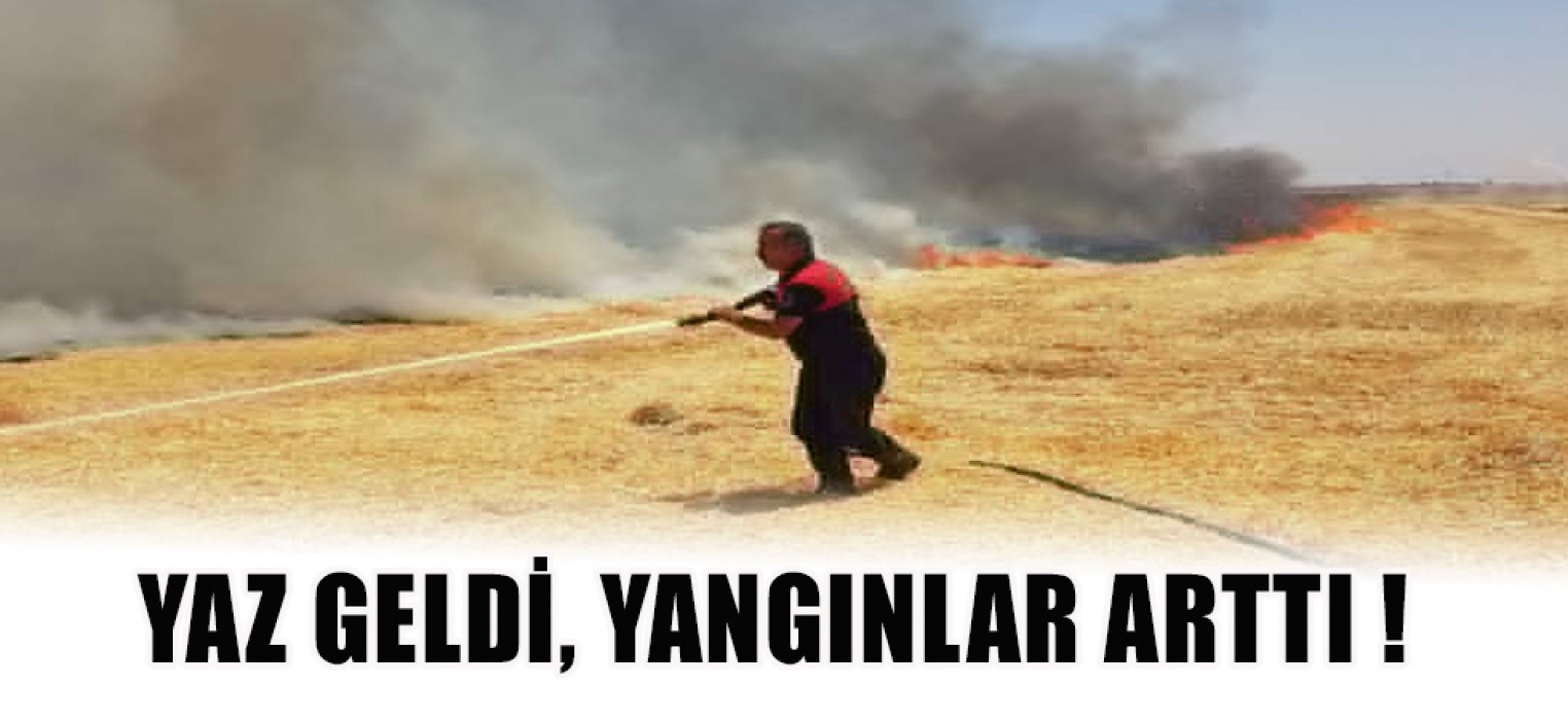 Ceylanpınar’da yangın