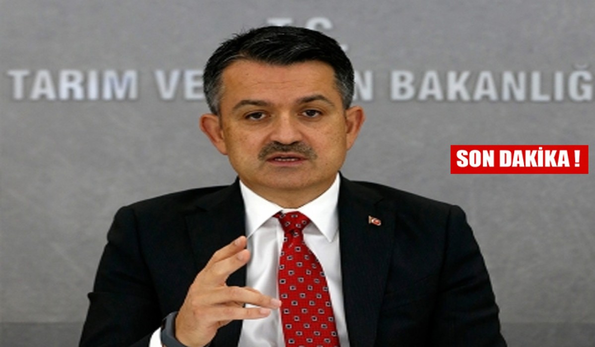 Bakan Pakdemirli paylaştı: Urfa'daki yangın kontrol altına alındı !