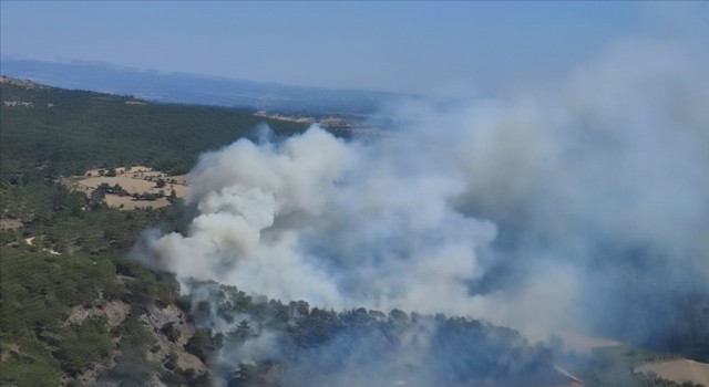 Çanakkale'de çıkan orman yangınına müdahale ediliyor