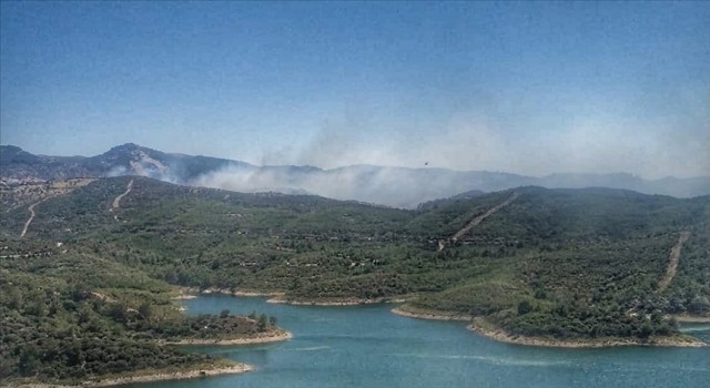 İzmir'de çıkan orman yangınına müdahale ediliyor