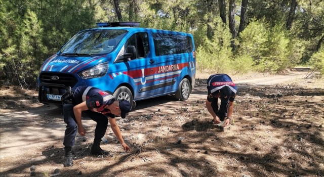 Muğla'da jandarma ekipleri orman yangınlarına karşı devriye görevi yapıyor