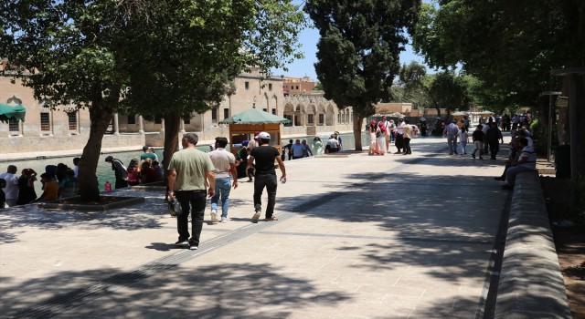 Şanlıurfa'da sıcak hava etkili oluyor