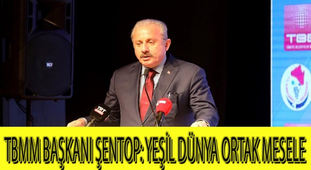 TBMM Başkanı Şentop: Yeşil dünya ortak mesele