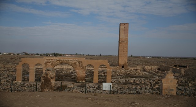 Harran'da 8 asırlık medresenin avlu, kuyu ve platformu bulundu