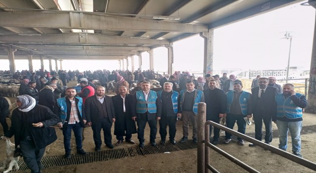 Esnaf 'Sattığımızı alamıyoruz, aldığımızı satamıyoruz'