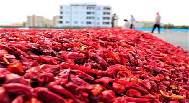 Şanlıurfa’nın ihracat ve ithalat rakamları belli oldu