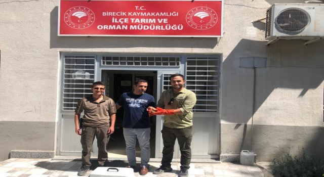 Urfa’da Yaralı Halde Arı Kuşu Tedaviye Alındı