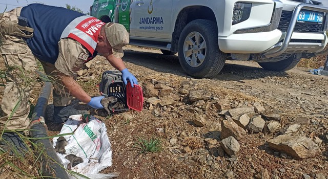 Hilvan’da terk edilmiş köpekler HAYDİ ekipleri tarafından bulundu