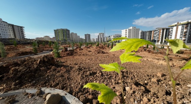 Doğukent’te 11 bin metrekarelik parkta sona doğru