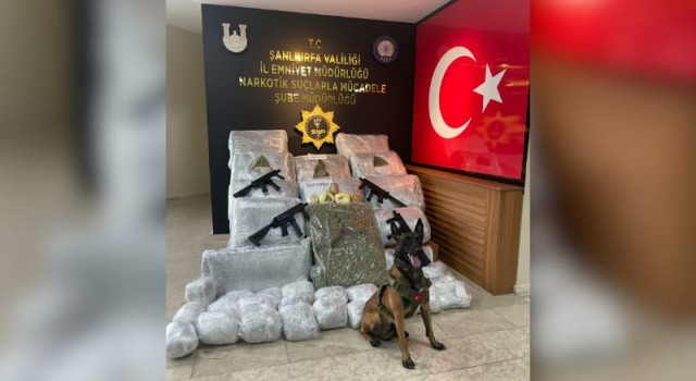 Şanlıurfa’da 170 kilo 700 gram skunk ele geçirildi