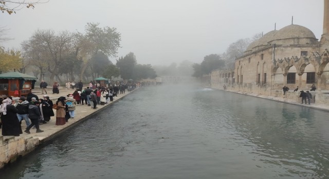 Şanlıurfa’da sisli havaya rağmen balıklıgöl ziyaretçi akını