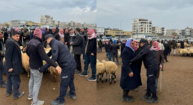 Viranşehir Hayvan Pazarı’nda 347 Kişiye GBT Sorgusu