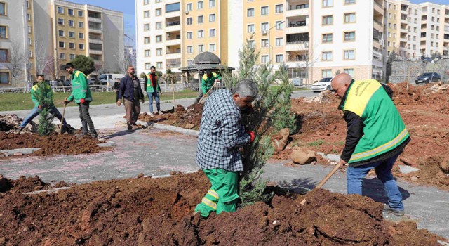 Seyrantepe’de 21 bin metrekarelik yeşil alan için çalışmalar sürüyor