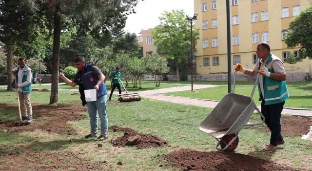 Haliliye Belediyesi ile parklar yaza hazırlanıyor