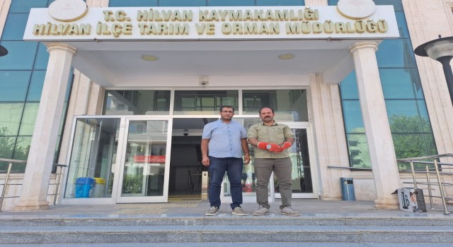 Yaralı halde bulunan balaban tedavi edildi