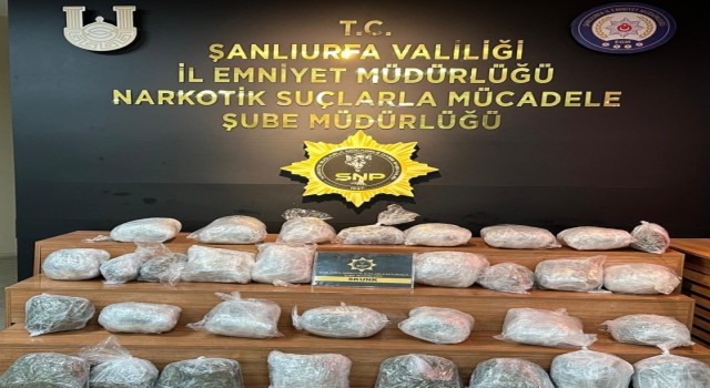 Şanlıurfa’da 23 kilo 300 gram skunk ele geçirildi