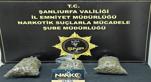 Şanlıurfa’da 2 kilo 950 gram skunk maddesi ele geçirildi