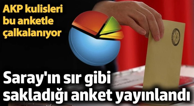 AKP kulisleri bu anketle çalkalanıyor! Saray'ın sır gibi sakladığı anket yayınlandı