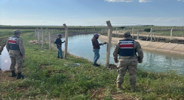 Urfa’da Su Kanalları Ve Göletlerde Kontroller Artırıldı