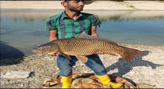 Şanlıurfa’daki Balıkçılar Destek Bekliyor!
