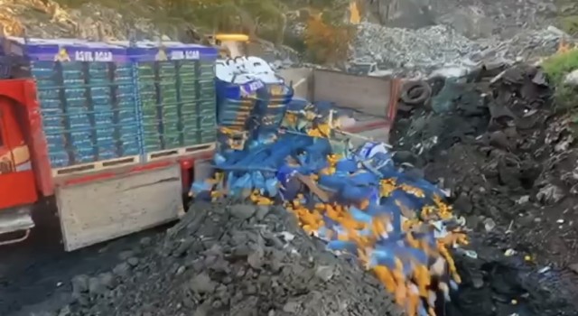 Sarp Sınır Kapısı’nda 6 Ton Mandalina İmha Edildi