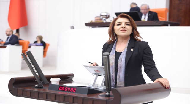 CHP’li Gülcan Kış: “Bu Bütçe Enerji Yatırımı Değil, Egemenlik Devridir”