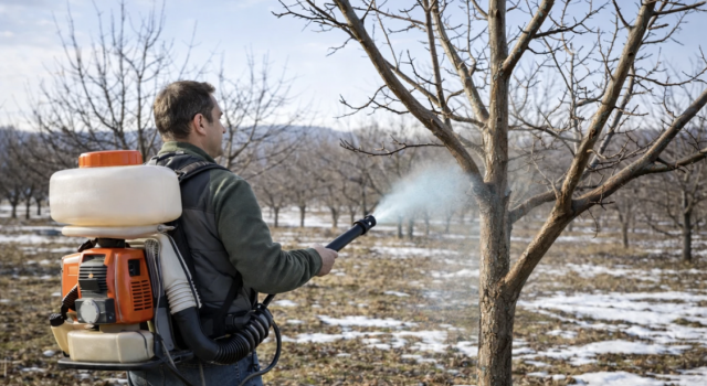 Budama Sonrası Altın Kural: Bordo Bulamacı ile Kış İlaçlaması Uyarısı