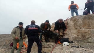 Siirt’te kayalıklarda mahsur kalan keçi kurtarıldı