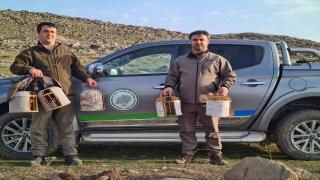 Kilis’te kaçak avlanan 3 kişi hakkında işlem yapıldı