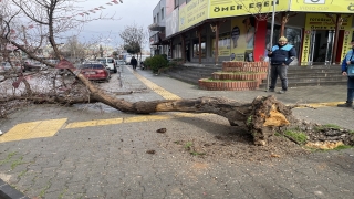 Gaziantep’te etkili olan rüzgar ve fırtına hasara yol açtı