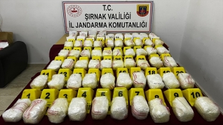 Şırnak’ta durdurulan tırda 33 kilogram uyuşturucu ele geçirildi