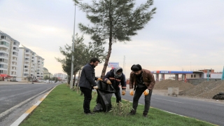 Ergani Belediyesi yoğun kar yağışının ardından çalışma başlattı