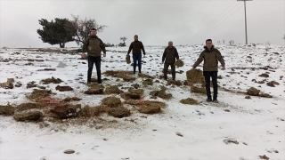 Gaziantep’te yaban hayvanları için doğaya yem bırakıldı