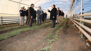 Şırnak Valisi Pehlivan, üniversitede kurulan serayı inceledi 