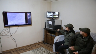 Koruma altındaki ceylanlar için ”doğum nöbeti” tutuyorlar