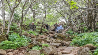 Yabanardı ve Şeyhandede şelaleleri ”Mezopotamya” turizm rotasında yerini alacak
