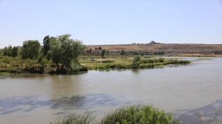 GÜNCELLEME Dicle Nehri’nde akıntıya kapılan 3 öğrenci hastanede hayatını kaybetti
