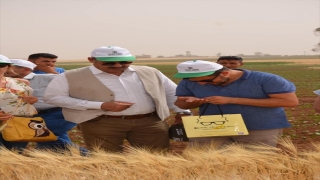 Mardin’de ”Tarla Günü” etkinliği 