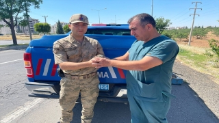 Şanlıurfa’da yaralı bulunan baykuş korumaya alındı