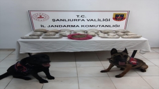 Şanlıurfa’da toprağa gömülü 11 kilogram sentetik uyuşturucu ele geçirildi