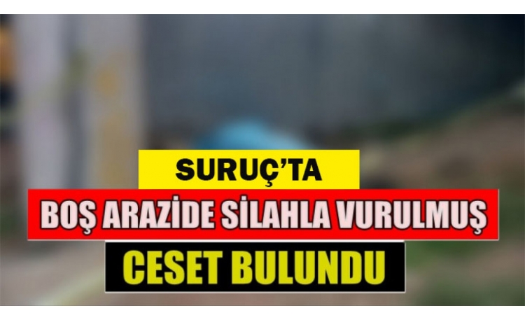 Şanlıurfa'da silahla vurulmuş erkek cesedi bulundu