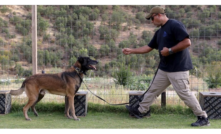 18 yılda 150 arama kurtarma köpeği yetiştirdi